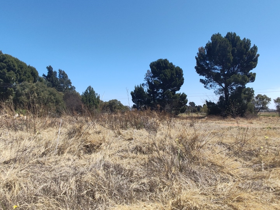 Commercial Property for Sale in Spitskop SH Free State